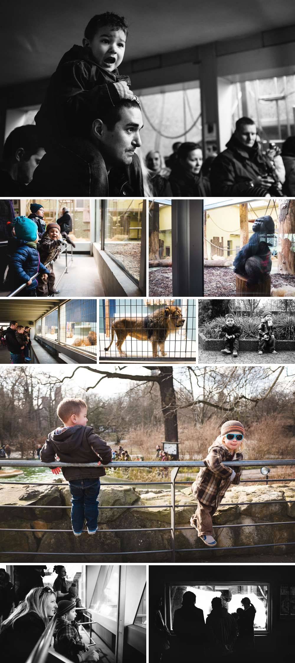 Berlin Zoo Photography 1