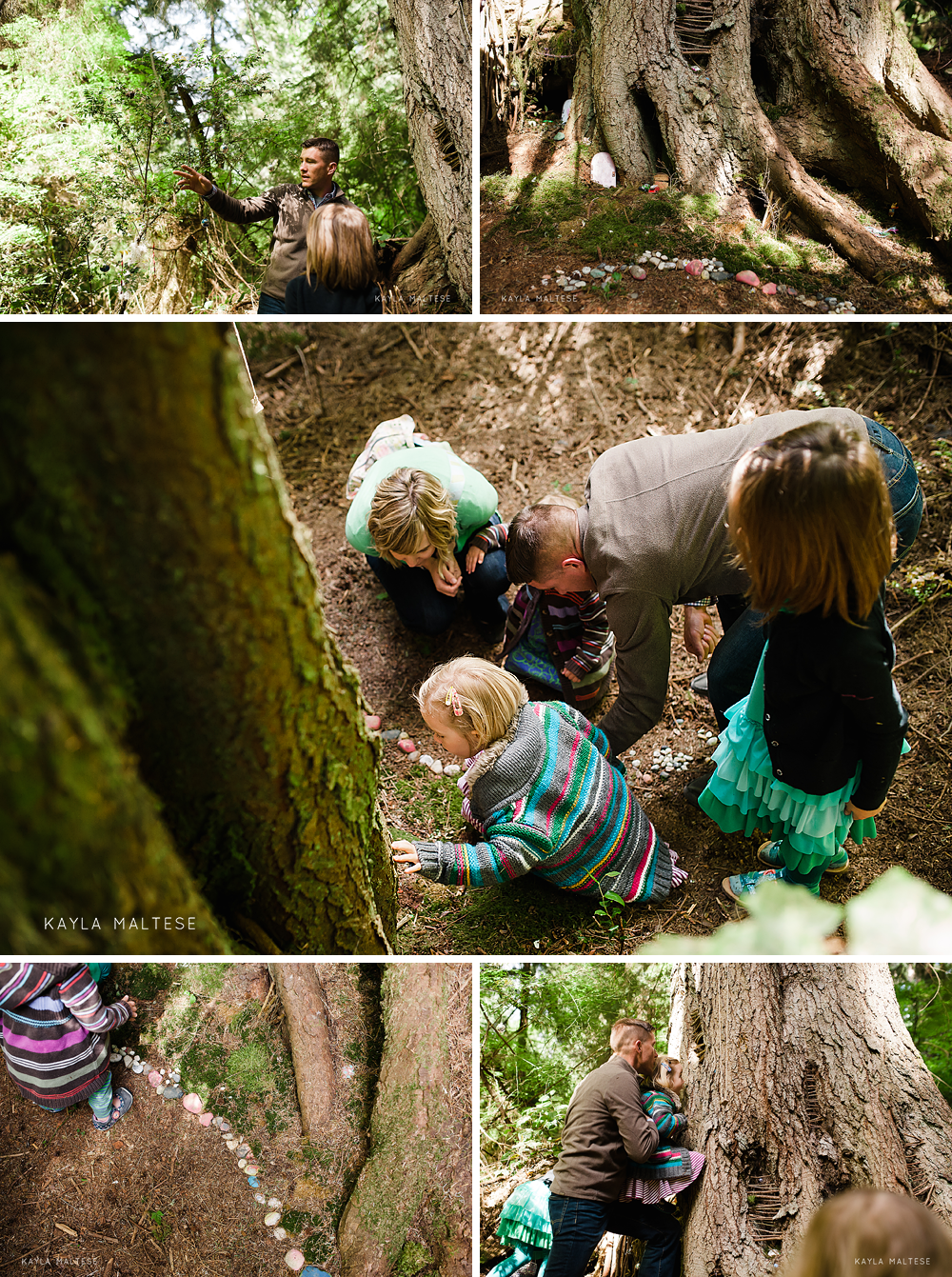 Fairy Forest - Family Storytelling Photography
