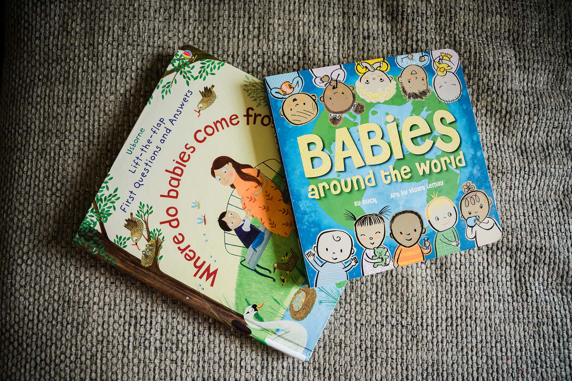 Maternity Photographer In Home Big Sister Books San Diego